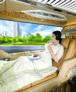 Giường nằm 22 chỗ limousine