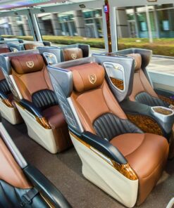 Limousine 29 chỗ thương gia